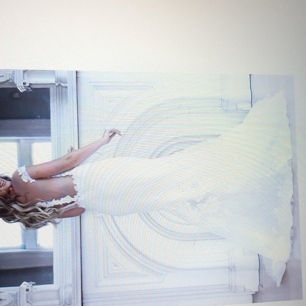 Brand new Barbara kavchok wedding dress